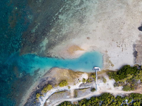 Camp Island Lodge - Accommodation Nelson Bay 1