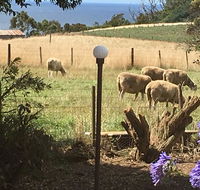 Cape View B and B - Accommodation Nelson Bay