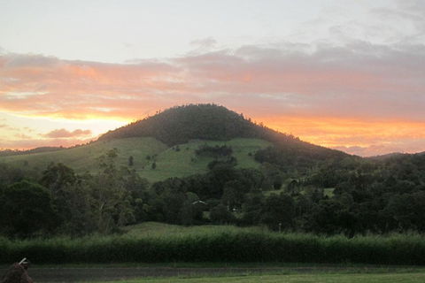 CBR Equine Cottage - Accommodation Nelson Bay 1