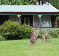 Cedar Lodge Cabins - Accommodation Nelson Bay