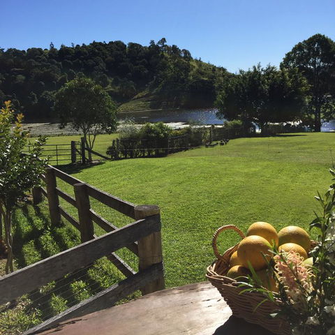 CedarBrae Country Stay - Accommodation Nelson Bay 3