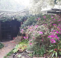Charming country house close to Grafton - Accommodation Nelson Bay