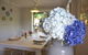 Cherry Cottage - Leura - thumb 1