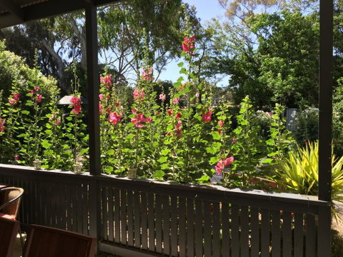 Clarevale Cottage B&B - Nelson Bay Accommodation.com 1