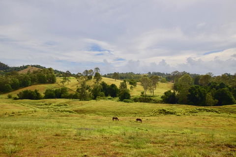 Country Breeze Farm Stay - Accommodation Nelson Bay 0