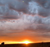 creative 3D sculpture share - Accommodation Nelson Bay