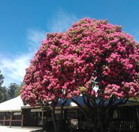 Crossways Country Inn - Accommodation Nelson Bay
