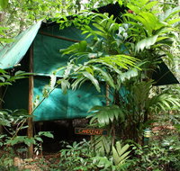 Daintree Crocodylus - Accommodation Nelson Bay