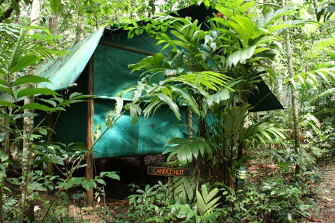 Daintree Crocodylus - Accommodation Nelson Bay 0