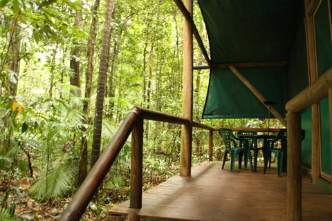 Daintree Crocodylus - Accommodation Nelson Bay 1