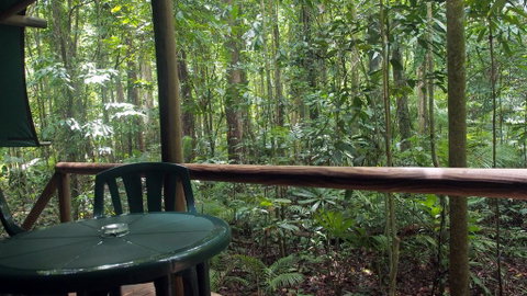 Daintree Crocodylus - Accommodation Nelson Bay 2