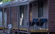 Dorrigo Mountain Holiday Park - thumb 2