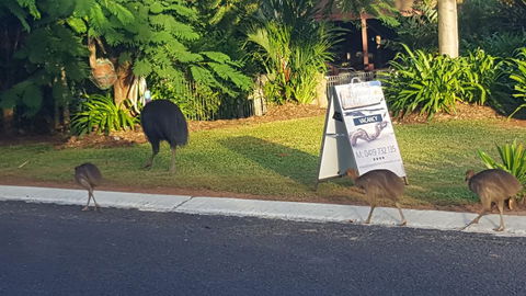 Driftwood Bed And Breakfast - Accommodation Nelson Bay 1