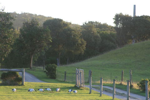 Driftwood Villas - Accommodation Nelson Bay 1