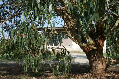 Driftwood Villas - Accommodation Nelson Bay 3
