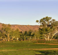 Edeowie Station - Accommodation Nelson Bay