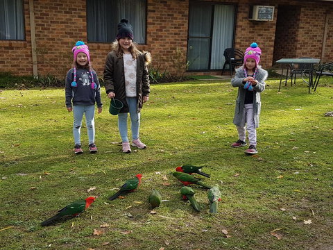 Eildon Parkview Motor Inn - Nelson Bay Accommodation.com 1