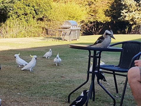 Eildon Parkview Motor Inn - Nelson Bay Accommodation.com 0