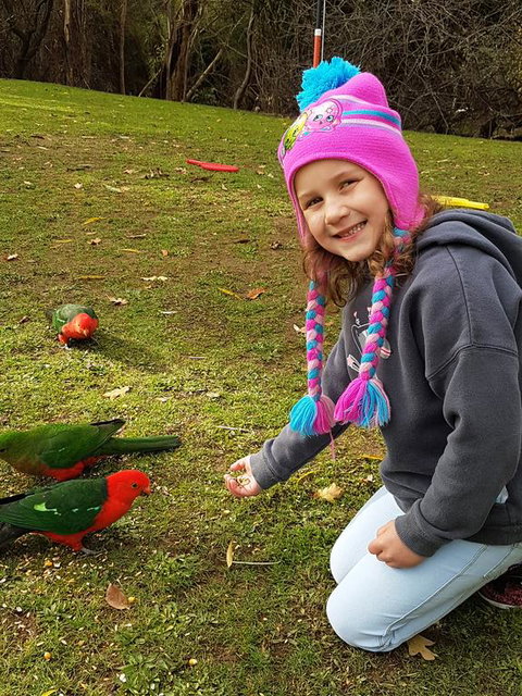 Eildon Parkview Motor Inn - Nelson Bay Accommodation.com 3