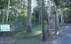 Emerald Tropical Palms B & B - thumb 2
