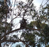 Escape to the Country - Enjoy the firepit or explore magical Bunya Mountains - Accommodation Nelson Bay