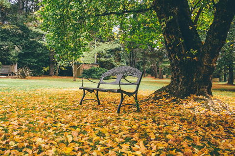 Federation Gardens & Possums Hideaway - Accommodation Nelson Bay 1