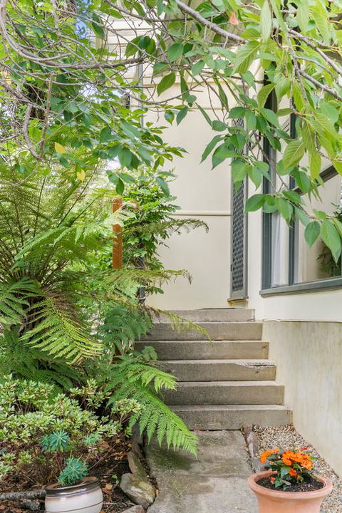 Fern Cottage - Accommodation Nelson Bay 3