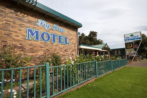 Fig Tree Motel - Nelsons Bay Accommodation 2
