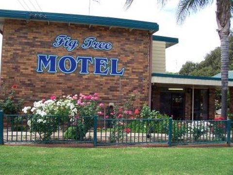 Fig Tree Motel - Nelsons Bay Accommodation 1