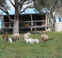 Gaddleen Grove Cottages - Accommodation Nelson Bay