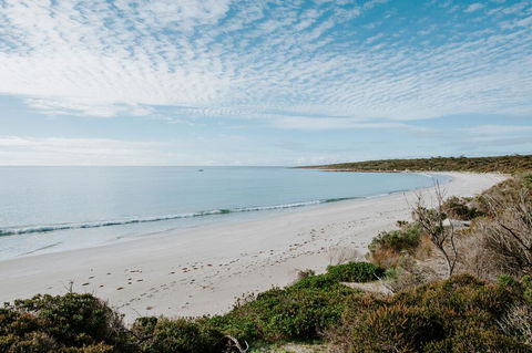 Glamping @ September Beach, Lincoln National Park - Nelsons Bay Accommodation 2