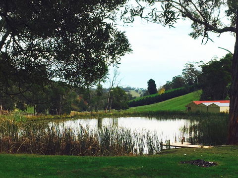 Gracefield Estate - Accommodation Nelson Bay 0