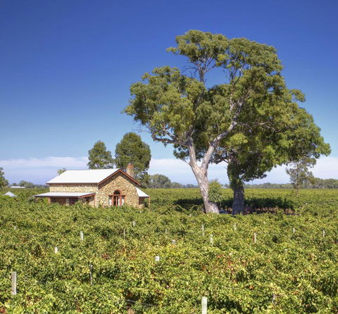 Highbank Country Accommodation - Nelsons Bay Accommodation 3