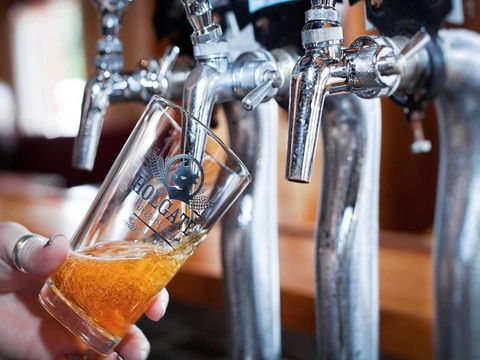 Holgate Brewhouse - Accommodation Nelson Bay 0