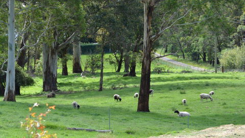 JAN'S ART STUDIO AT ASHBY RISE - Accommodation Nelson Bay 0