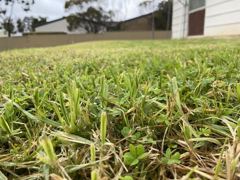 Karoonda Accommodation - Accommodation Nelson Bay 0