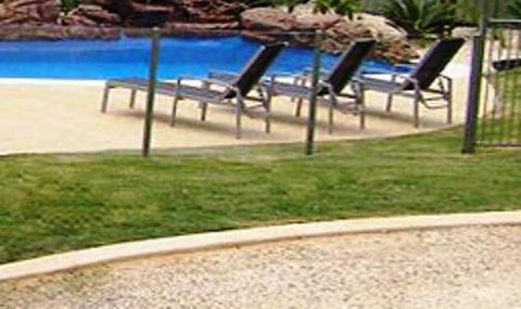Koala Tree Motel - Accommodation Nelson Bay 3