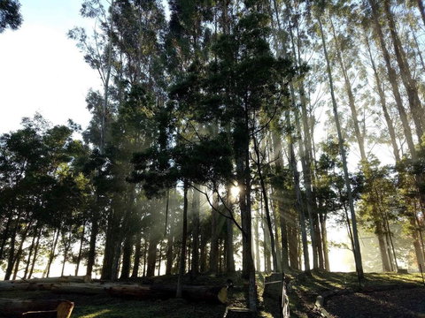 Kymmik Cottage - Accommodation Nelson Bay 2