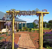 Lavendale Farmstay and Cottages York - Accommodation Nelson Bay