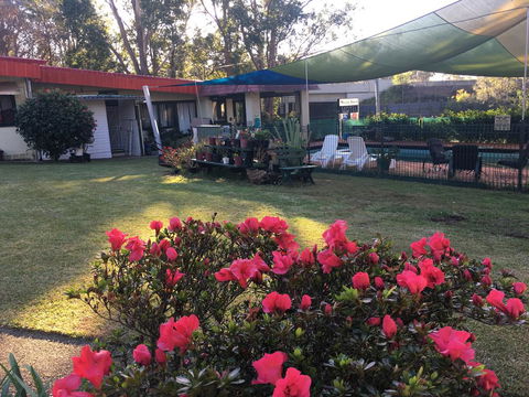 Major Innes Motel - Accommodation Nelson Bay 3