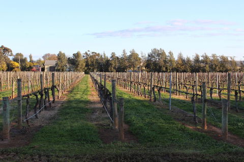 Milawa Vineyard Views - Guesthouse 1 - Accommodation Nelson Bay 1