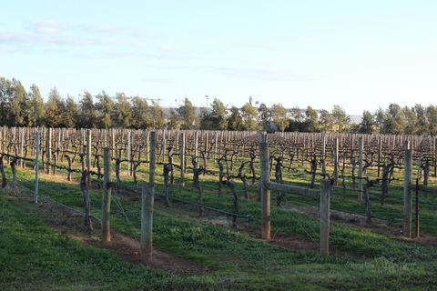 Milawa Vineyard Views - Guesthouse 2 - Accommodation Nelson Bay 0