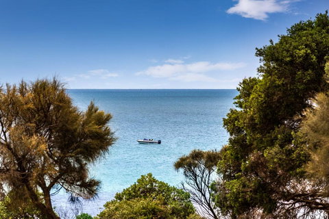 Mills Beach Retreat Luxury Family Retreat With Hydrotherapy Spa, Opposite Beach, Walk To Village - Accommodation Nelson Bay 2