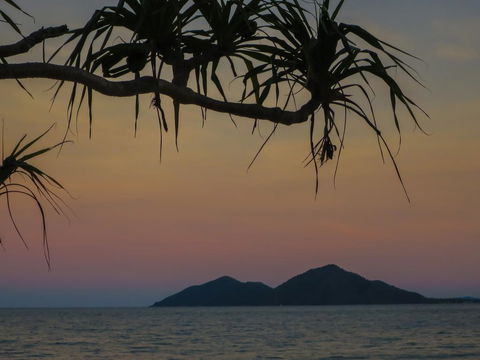 Mission Beach Hideaway Holiday Village - Accommodation Nelson Bay 1