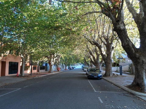 Backpack City & Surf - Accommodation Nelson Bay 4