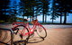 Cottesloe Artist's Beach Retreat - thumb 31