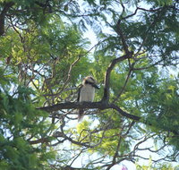 Jacaranda Hideaway Bed  Breakfast - Accommodation Nelson Bay