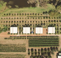 Swan Valley Sisters - Accommodation Nelson Bay