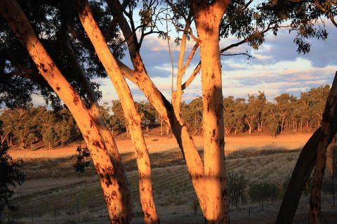 Hotham Ridge Estate - Accommodation Nelson Bay 30