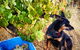 Hotham Ridge Estate - thumb 33
